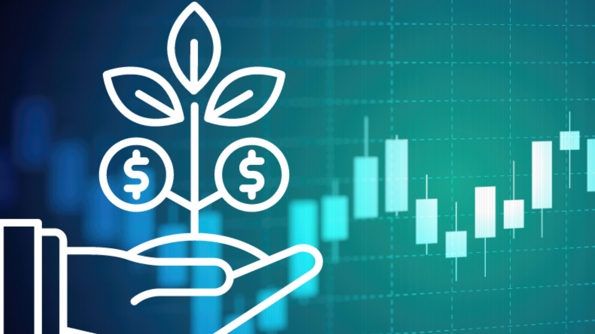 Investment Services